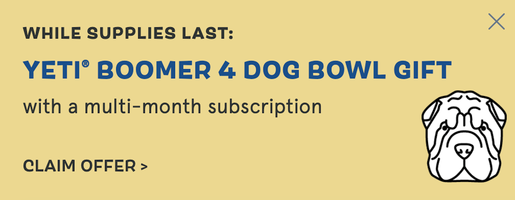 BarkBox promotion for first-time buyers.