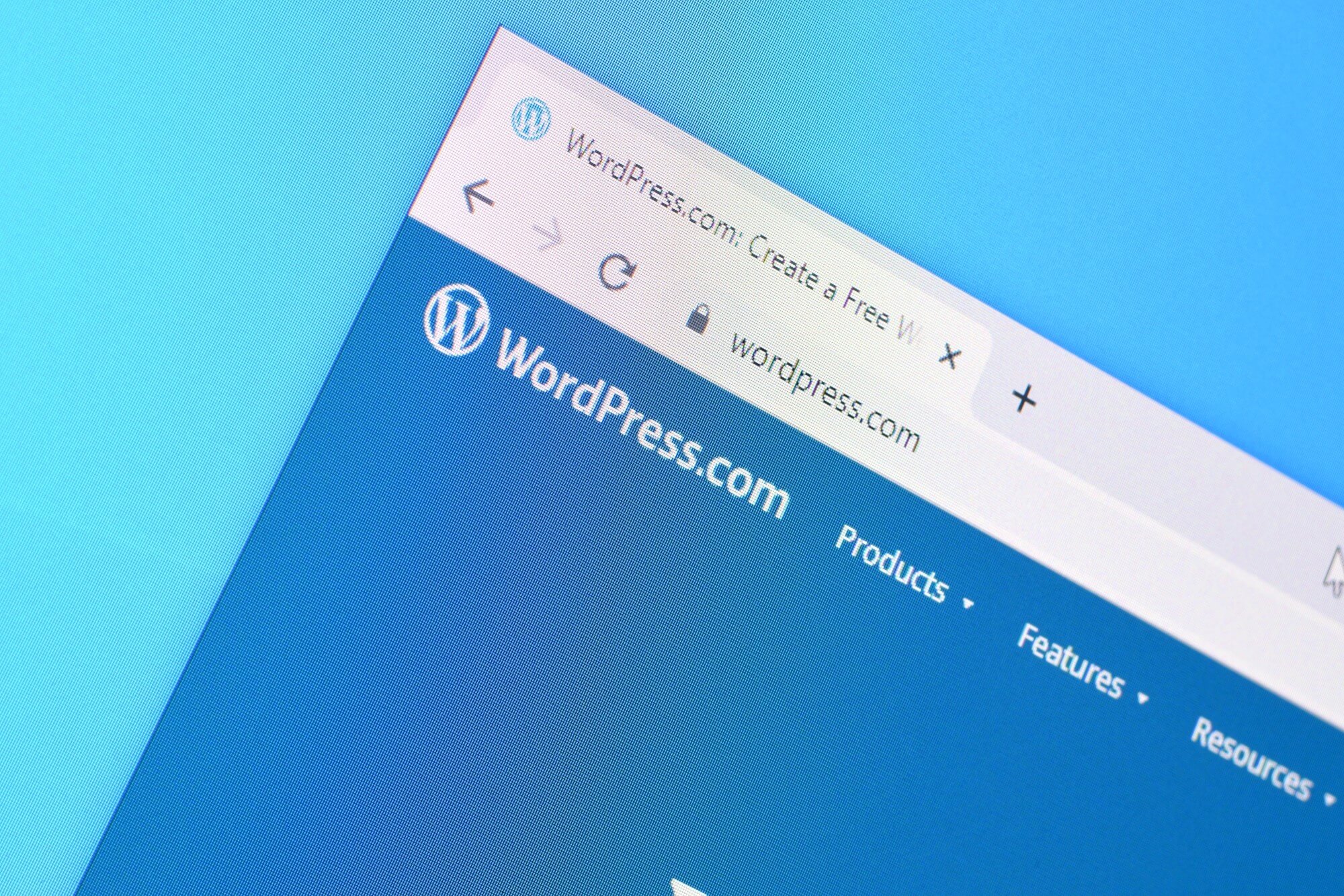 How To Become A WordPress Expert In 7 Steps
