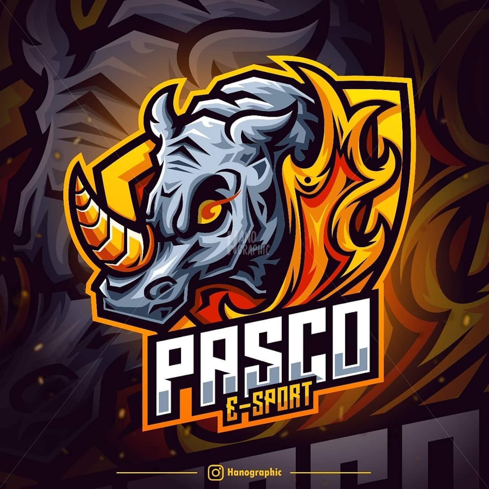 PASCO E-SPORT Illustration