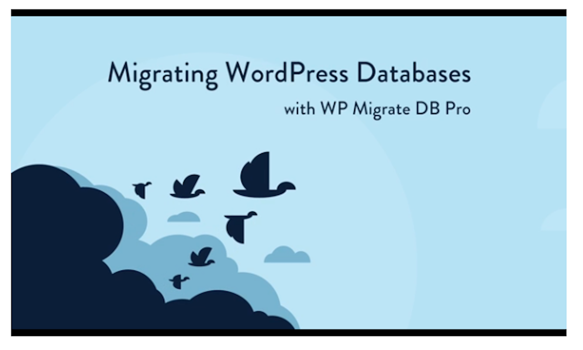 WP Migrate DB