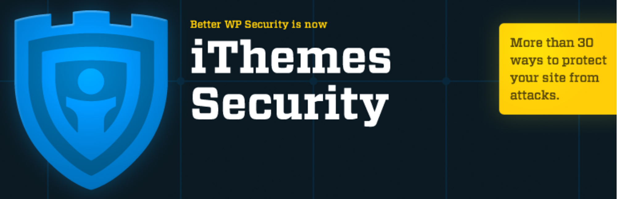 This iThemes security plugin is capable of providing security to your WordPress website