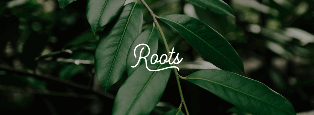 Roots Tree Service Website Rebuild