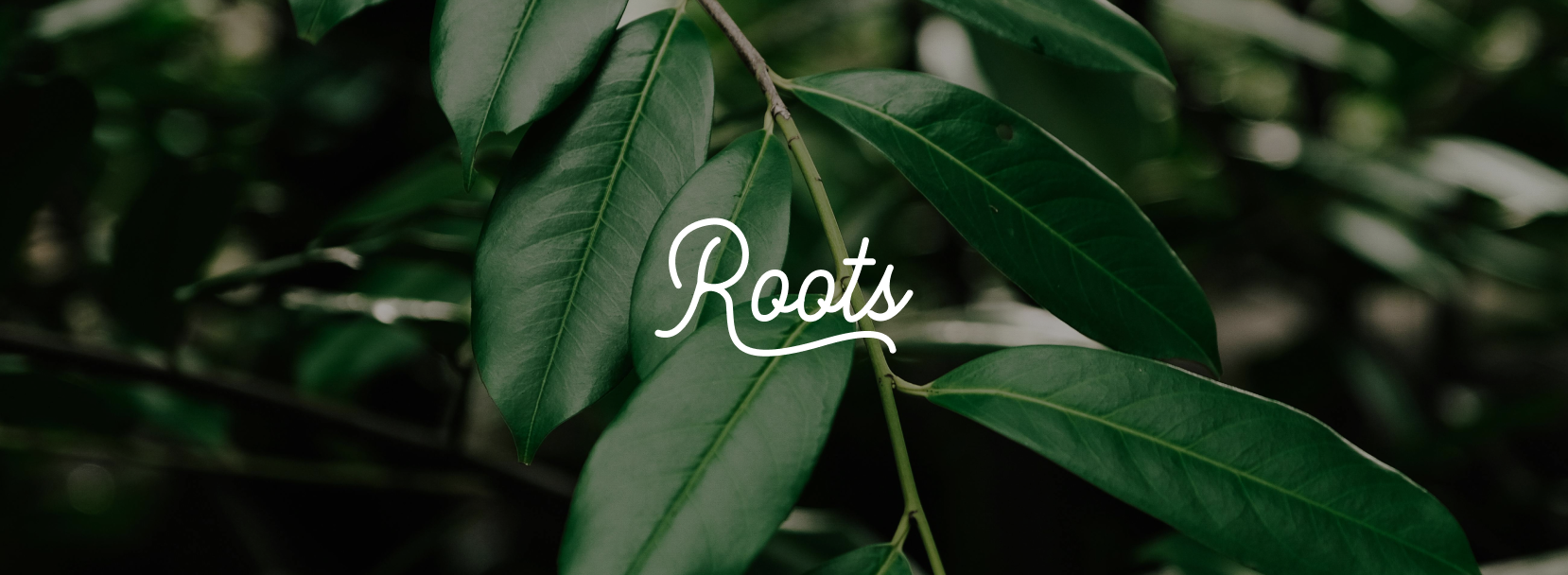 Roots Tree Service Website Rebuild